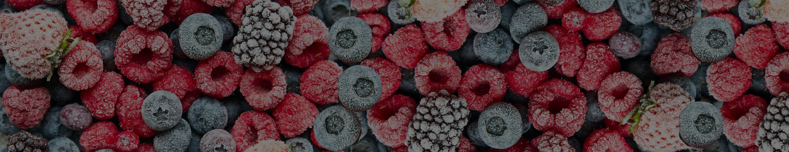 Frozen Food Cover Image