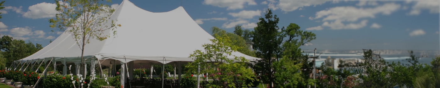 Supplies and Rentals