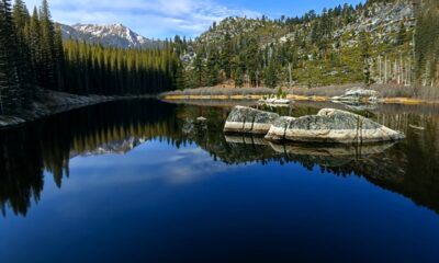 Dangerous ad Harmful Plants