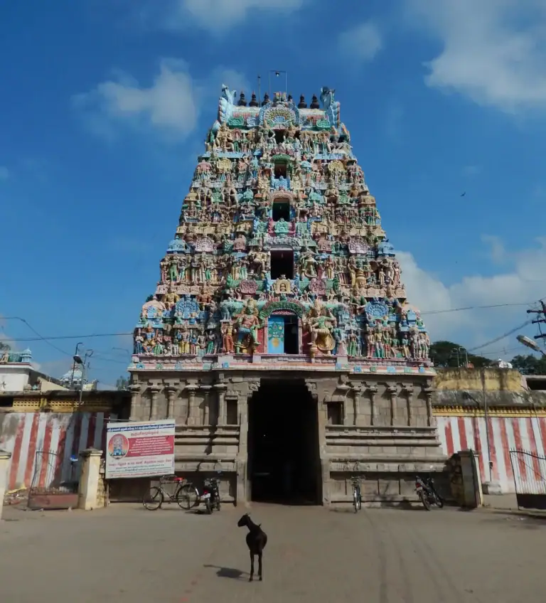 Hinduism A goat stands before the Apatsahayesvarar Temple also called Alangudi 768x848