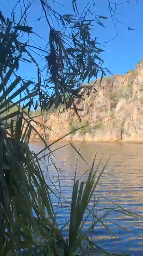 WhatsApp Video 2025-08-19 at 20.26.10_68bf6a3f