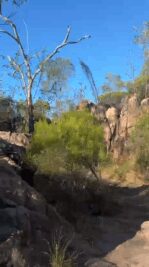 WhatsApp Video 2025-08-19 at 20.26.03_168a3572