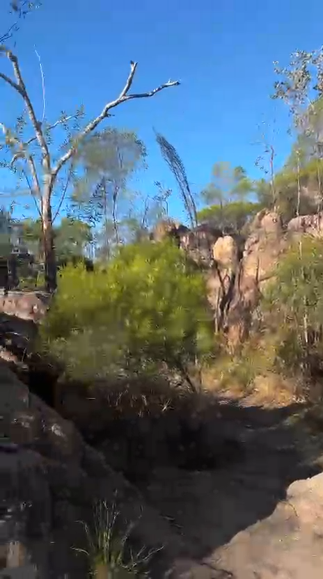 WhatsApp Video 2025-08-19 at 20.26.03_168a3572