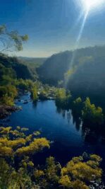 WhatsApp Video 2025-08-19 at 20.25.57_f662cc40