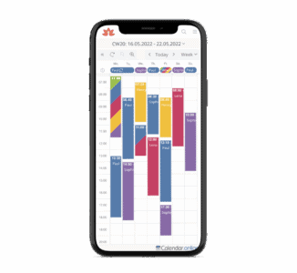 MyMahotsav Activity Calendar Mobile View