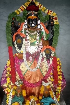 WhatsApp Image 2025-11-27 at 3.35.45 PM