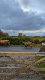 AQNM2unImhvbeI7n0-0bb49L5XEO4gSvs36w9Mpk6Gn1RXxAwRlURrvzYWV-WMIZX2IEe6V0s8l4bcLGVq2tYJKY-BaRFZL3hweMuDDzHa6lpw