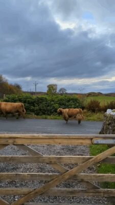 AQNM2unImhvbeI7n0-0bb49L5XEO4gSvs36w9Mpk6Gn1RXxAwRlURrvzYWV-WMIZX2IEe6V0s8l4bcLGVq2tYJKY-BaRFZL3hweMuDDzHa6lpw