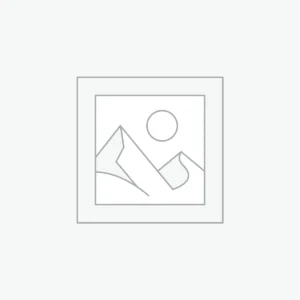 Proin id lobortis mi, quis rutrum felis